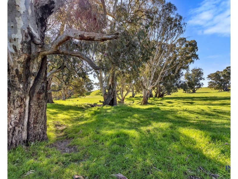 462 EDEN VALLEY ROAD, Flaxman Valley SA 5235