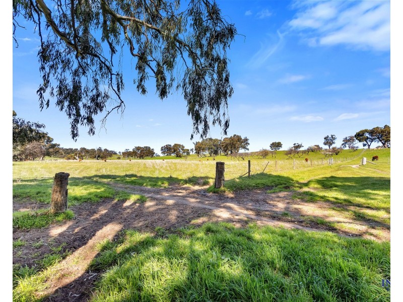 462 EDEN VALLEY ROAD, Flaxman Valley SA 5235