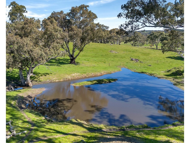 462 EDEN VALLEY ROAD, Flaxman Valley SA 5235