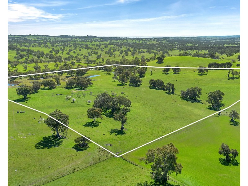 462 EDEN VALLEY ROAD, Flaxman Valley SA 5235