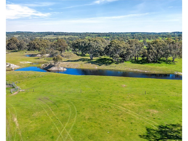 462 EDEN VALLEY ROAD, Flaxman Valley SA 5235