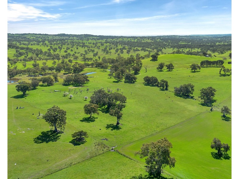 462 EDEN VALLEY ROAD, Flaxman Valley SA 5235