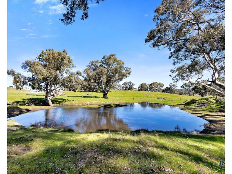 462 EDEN VALLEY ROAD, Flaxman Valley SA 5235