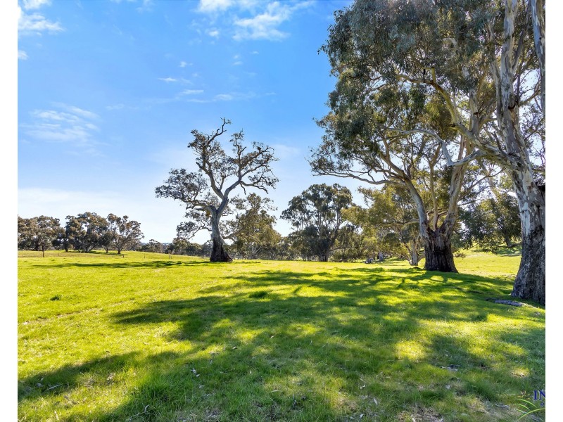 462 EDEN VALLEY ROAD, Flaxman Valley SA 5235