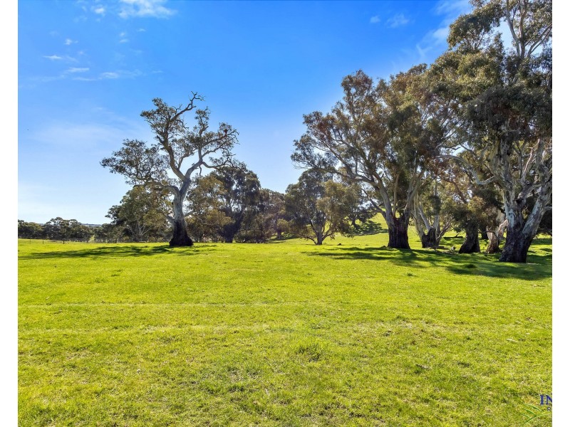 462 EDEN VALLEY ROAD, Flaxman Valley SA 5235