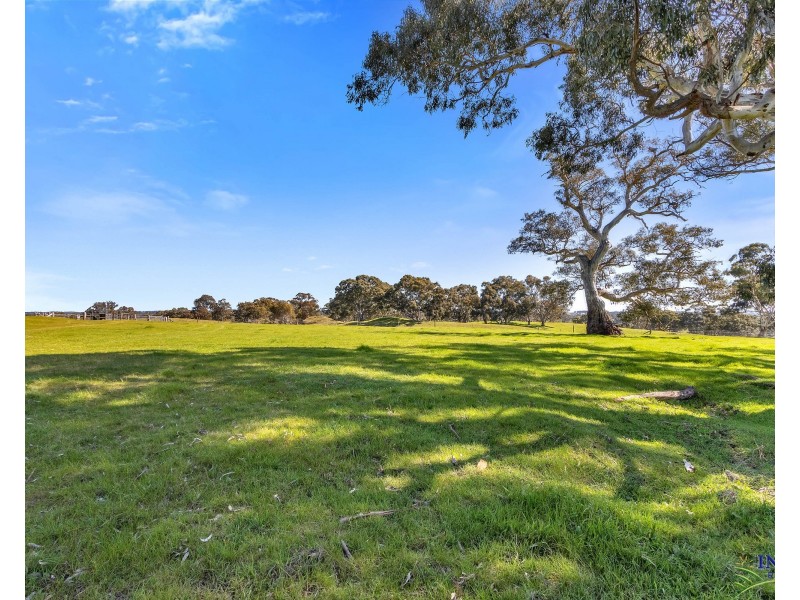 462 EDEN VALLEY ROAD, Flaxman Valley SA 5235