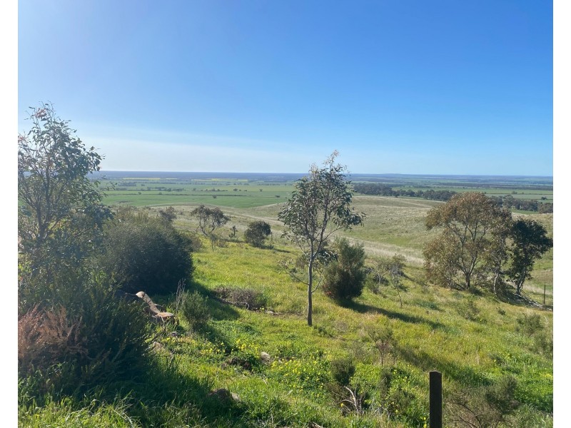 1741 Three Chain Road, Cambrai SA 5353