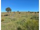 1741 Three Chain Road, Cambrai SA 5353