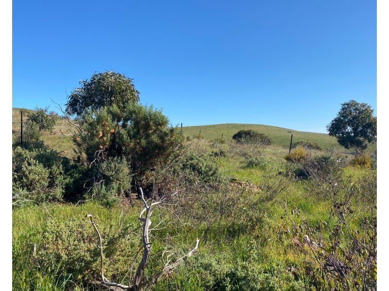 1741 Three Chain Road, Cambrai SA 5353
