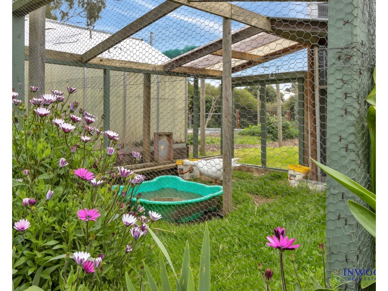 34 Williamstown Road, Springton SA 5235