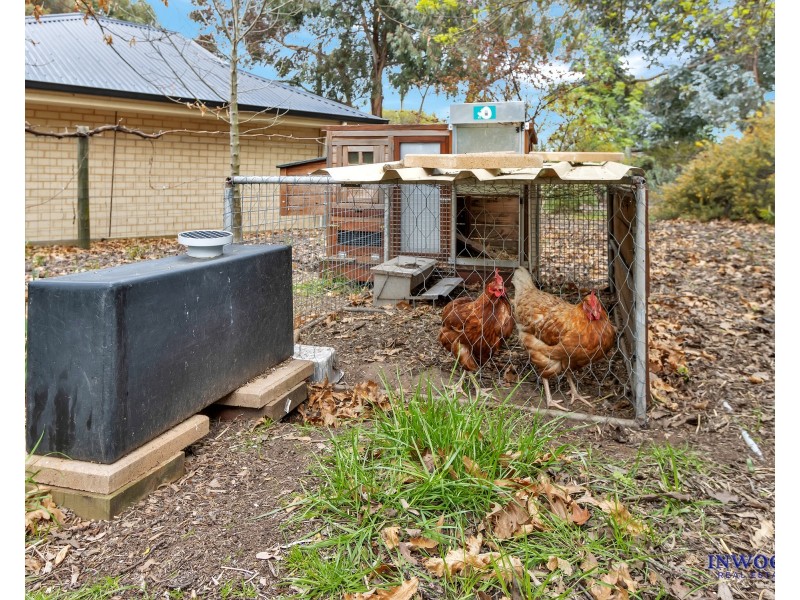 34 Williamstown Road, Springton SA 5235