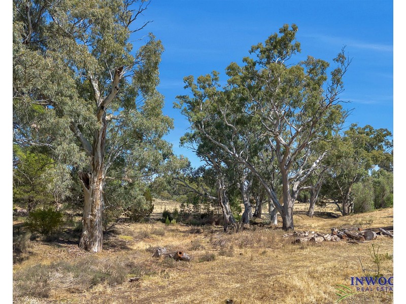 1735 Black Hill Road, Black Hill SA 5353