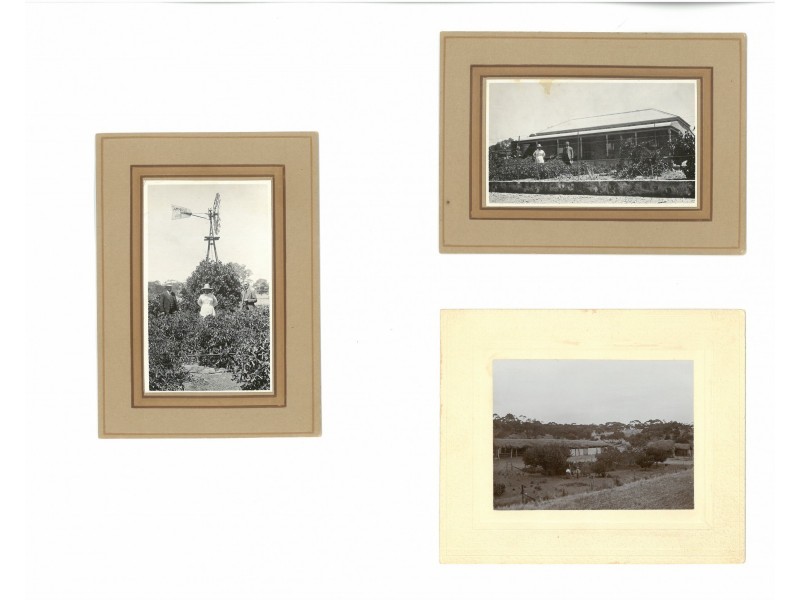 1735 Black Hill Road, Black Hill SA 5353