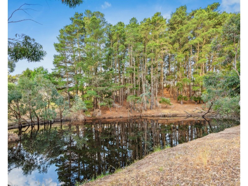 56 Mount View Road, Mount Torrens SA 5244