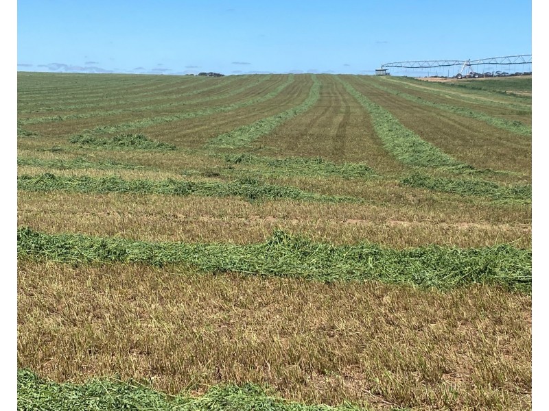 1176 Black Hill Road, Cambrai SA 5353