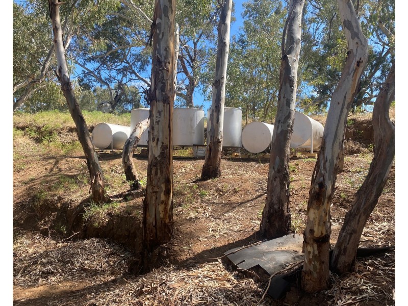 1176 Black Hill Road, Cambrai SA 5353