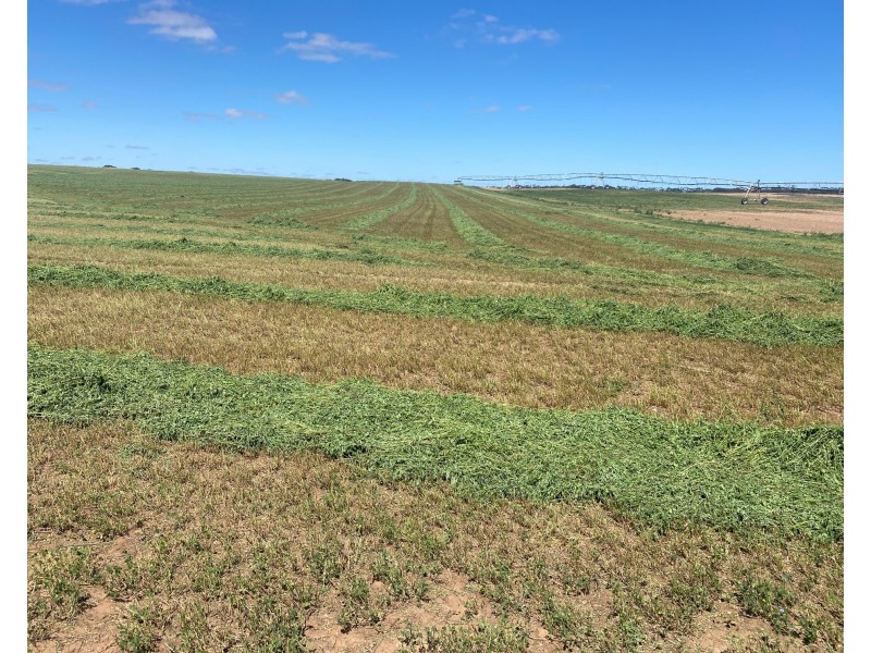 1176 Black Hill Road, Cambrai SA 5353