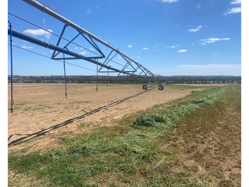 1176 Black Hill Road, Cambrai SA 5353