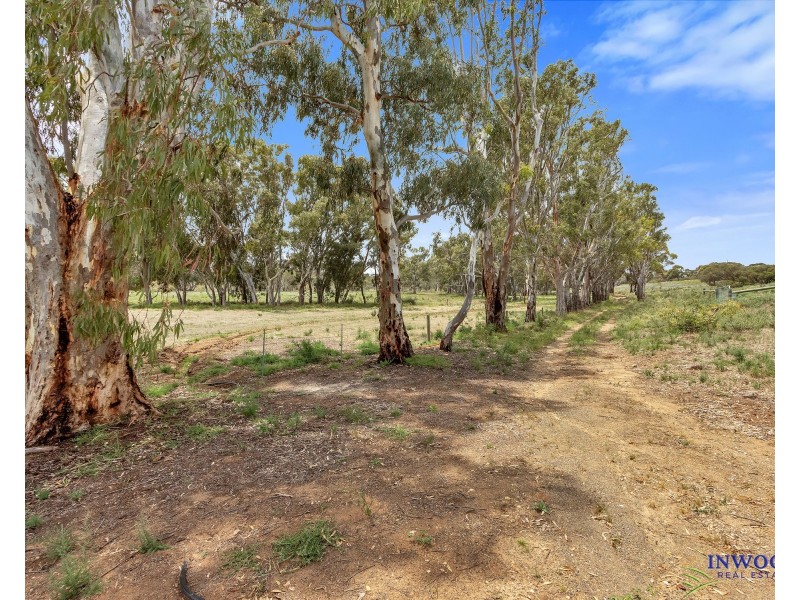 1176 Black Hill Road, Cambrai SA 5353