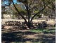 102 Graetztown Road, Keyneton SA 5353
