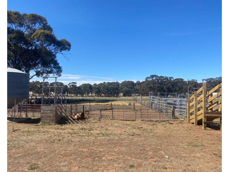 102 Graetztown Road, Keyneton SA 5353