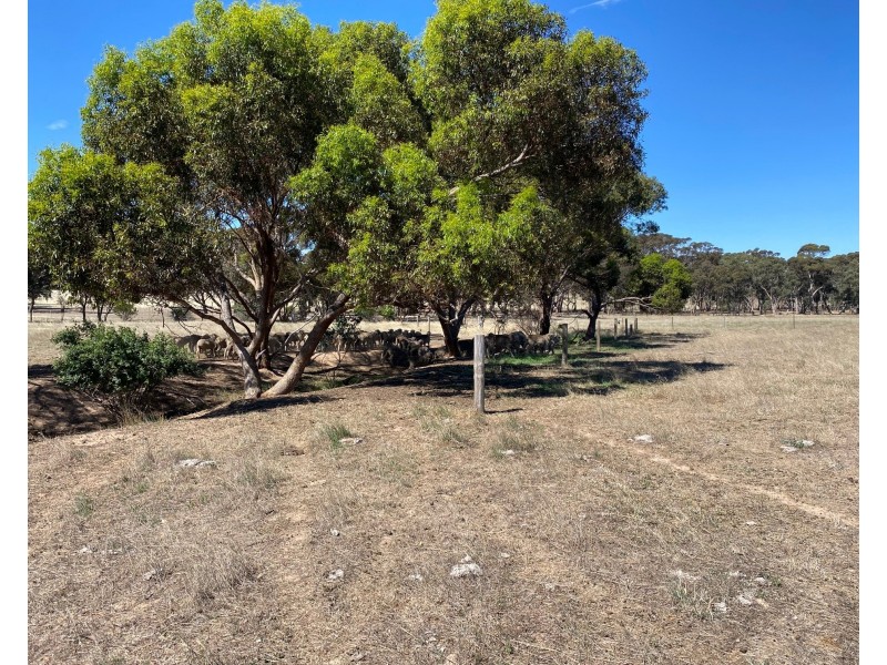 102 Graetztown Road, Keyneton SA 5353