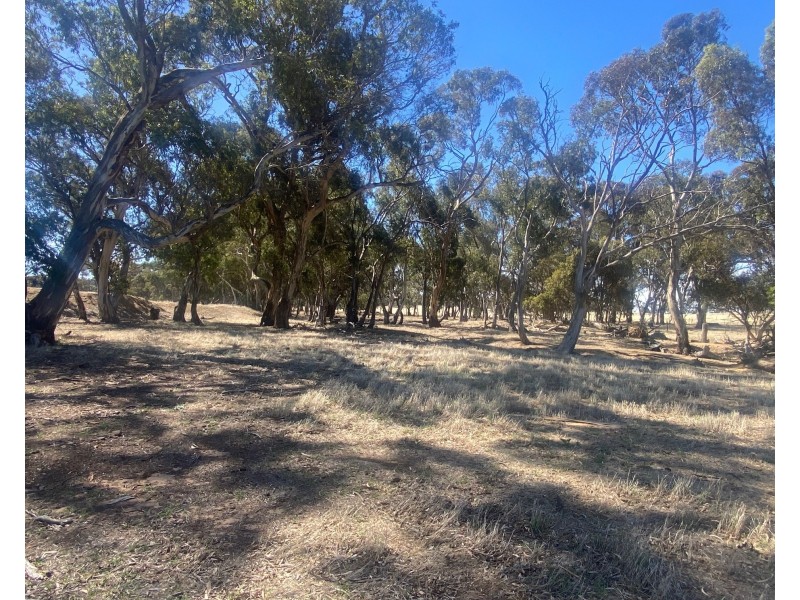 102 Graetztown Road, Keyneton SA 5353