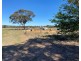 102 Graetztown Road, Keyneton SA 5353