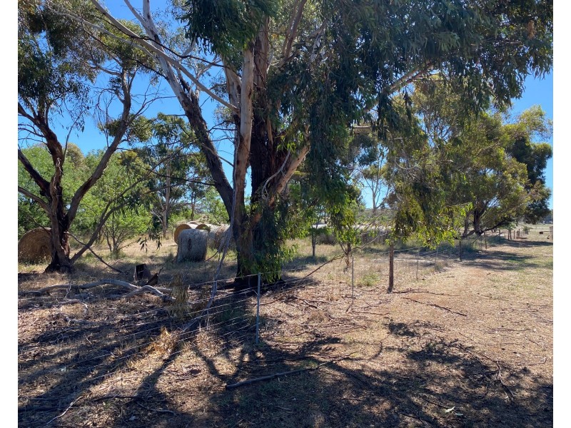 102 Graetztown Road, Keyneton SA 5353