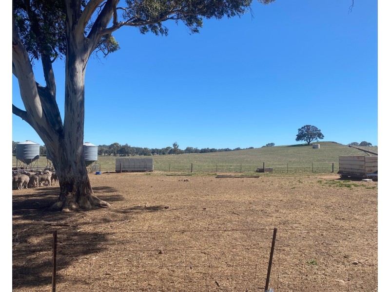 102 Graetztown Road, Keyneton SA 5353