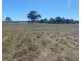102 Graetztown Road, Keyneton SA 5353