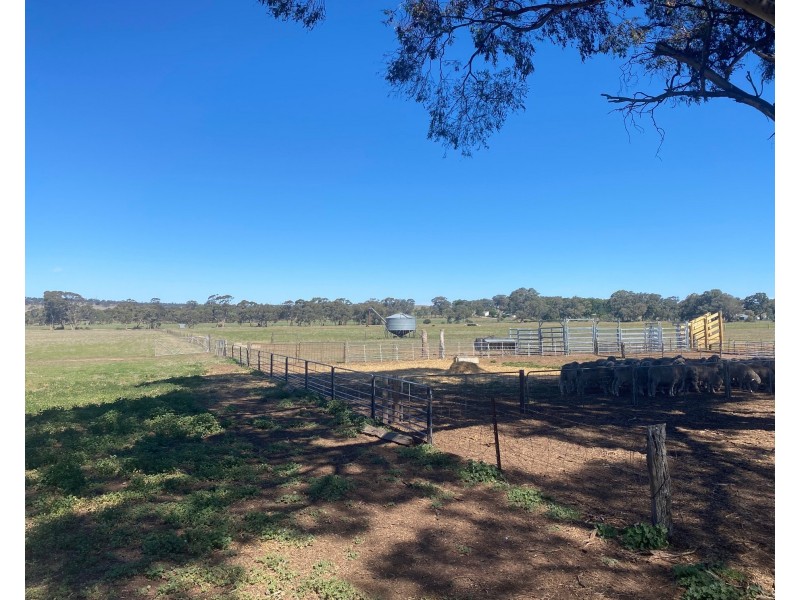 102 Graetztown Road, Keyneton SA 5353
