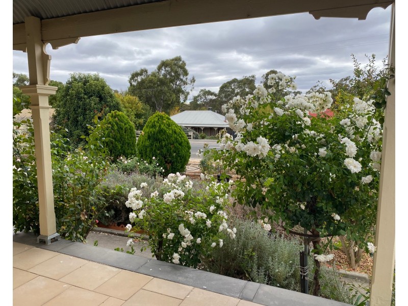 31 Miller Street, Springton SA 5235