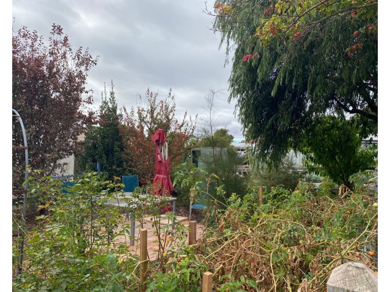 31 Miller Street, Springton SA 5235