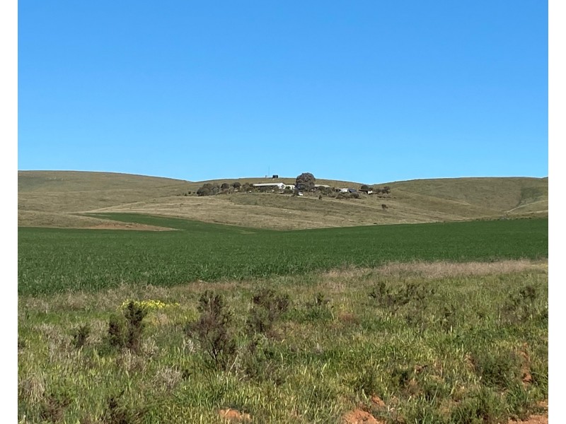 1741 Three Chain Road, Cambrai SA 5353