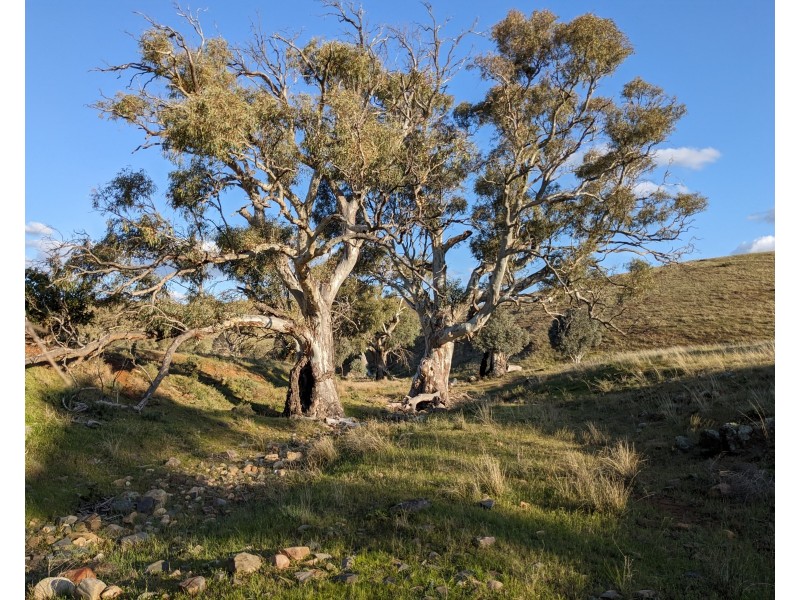 1741 Three Chain Road, Cambrai SA 5353