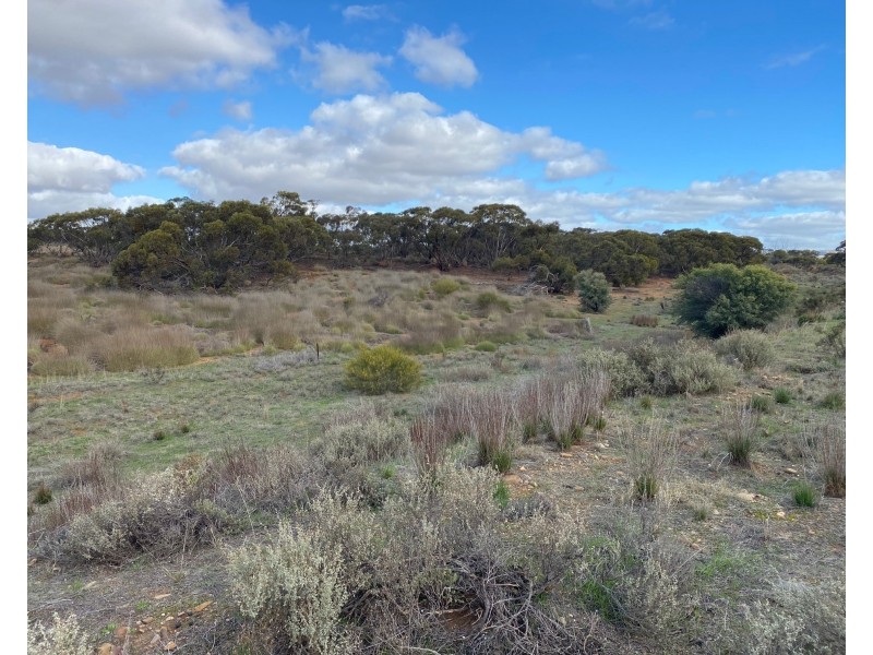 1 and 2 Bundilla Road, Cambrai SA 5353