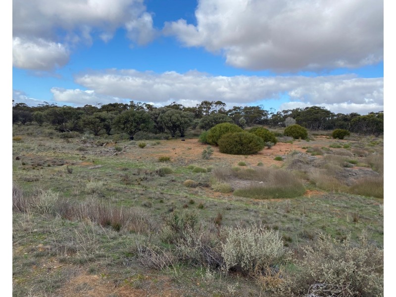 1 and 2 Bundilla Road, Cambrai SA 5353