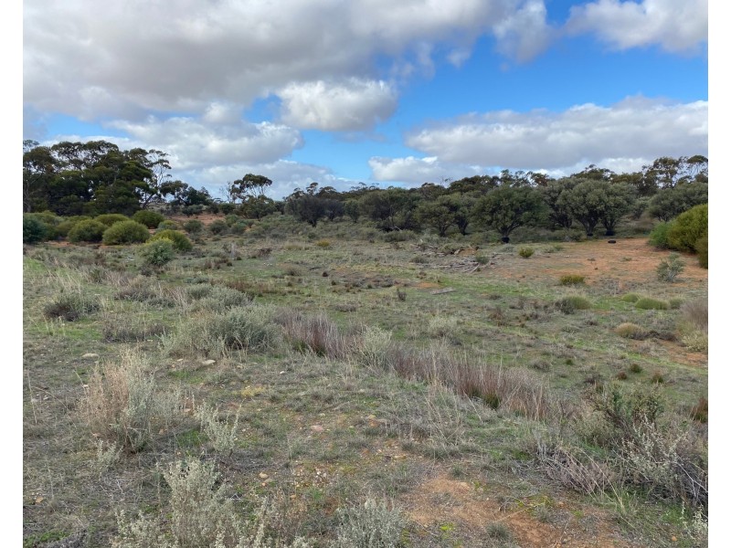 1 and 2 Bundilla Road, Cambrai SA 5353