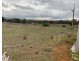 1 and 2 Bundilla Road, Cambrai SA 5353