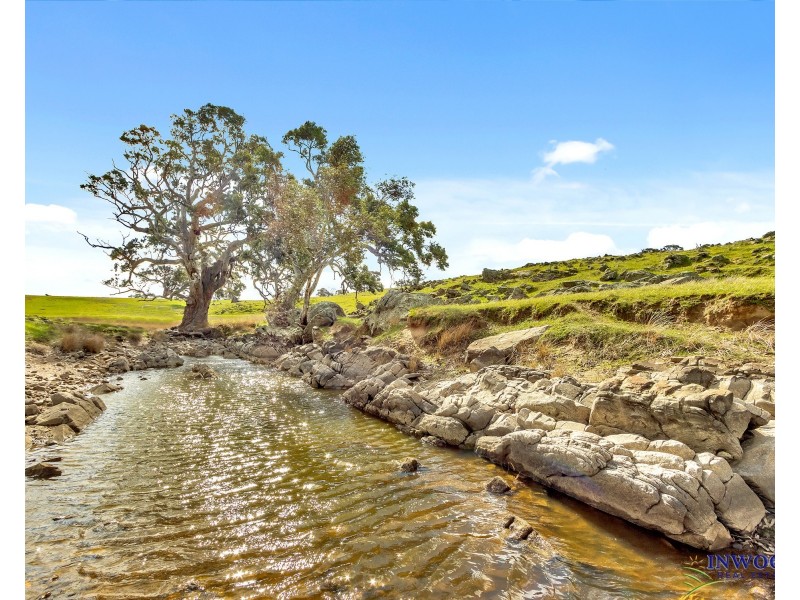 Section 551 Jutland Road, Keyneton SA 5353