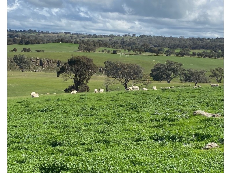 Section 551 Jutland Road, Keyneton SA 5353