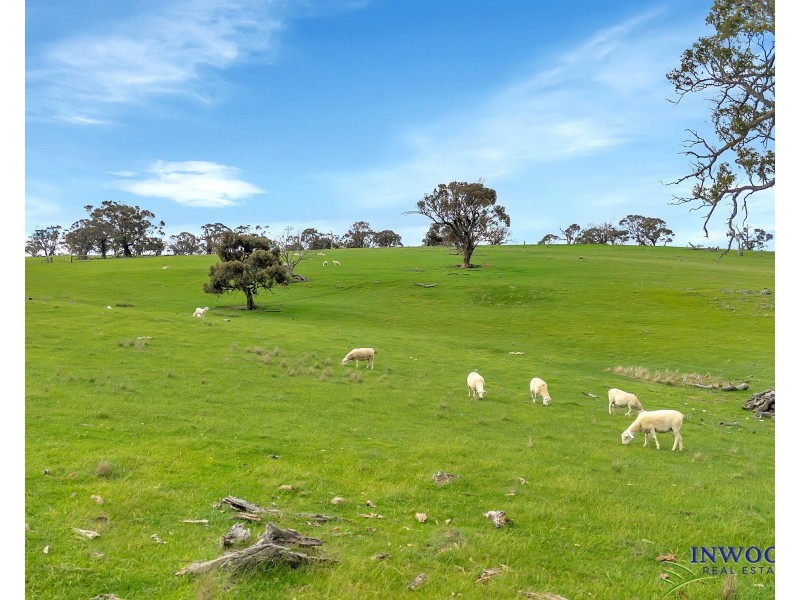 Section 551 Jutland Road, Keyneton SA 5353