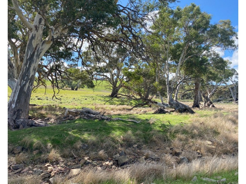 Section 551 Jutland Road, Keyneton SA 5353
