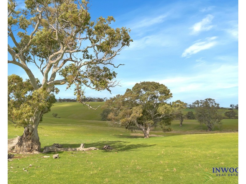 Section 551 Jutland Road, Keyneton SA 5353