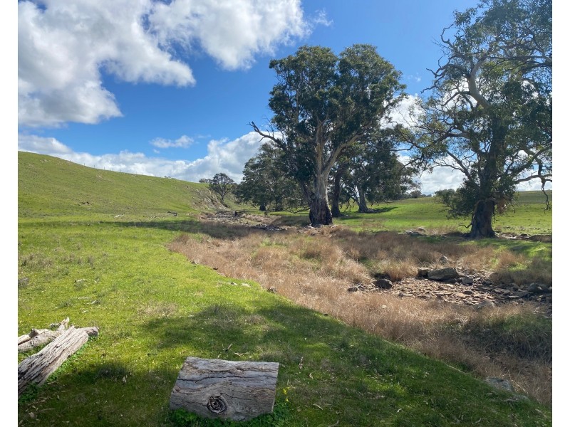 Section 551 Jutland Road, Keyneton SA 5353