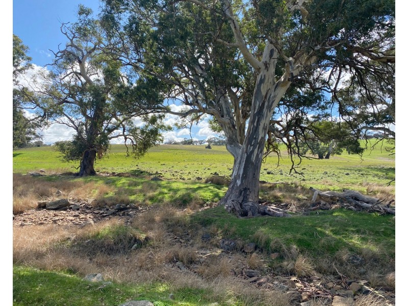 Section 551 Jutland Road, Keyneton SA 5353
