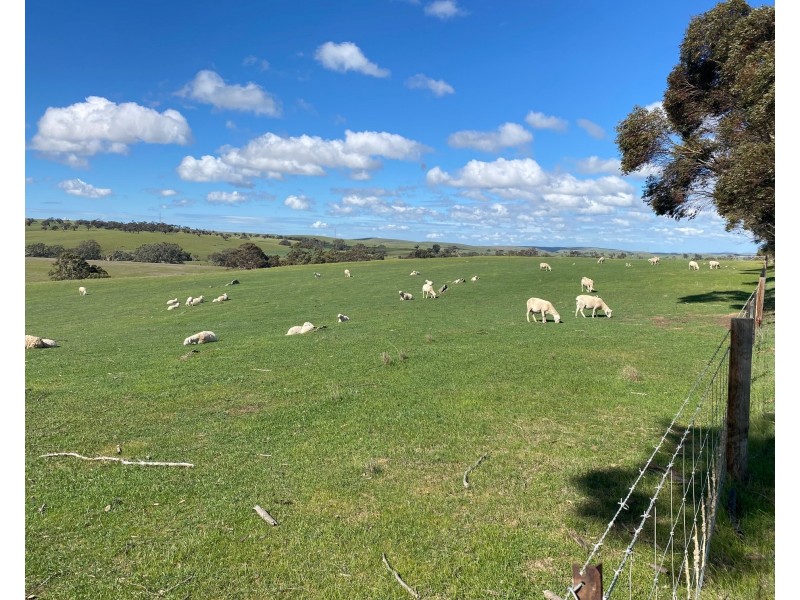 Section 551 Jutland Road, Keyneton SA 5353