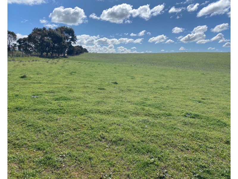 Section 551 Jutland Road, Keyneton SA 5353
