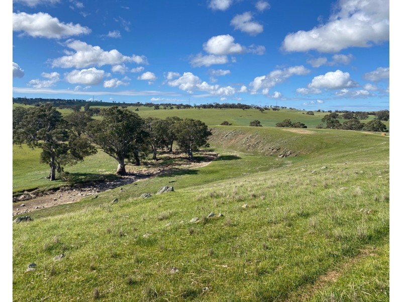 Section 551 Jutland Road, Keyneton SA 5353